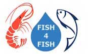 FISH4FISH
